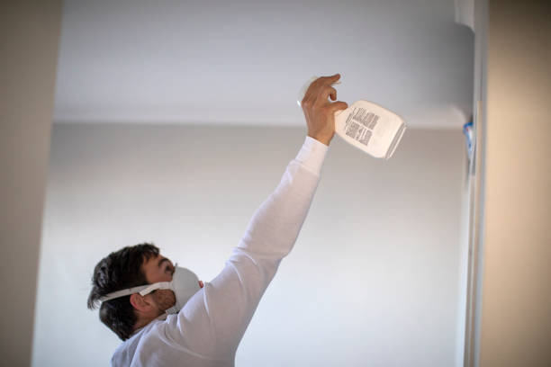 Best Black Mold Removal  in Gresham Park, GA