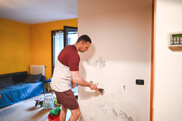 Best Office Mold Removal Services  in Gresham Park, GA