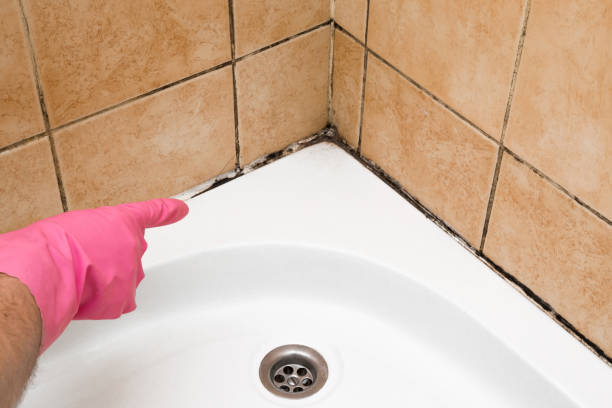 Best Mold Testing  in Gresham Park, GA